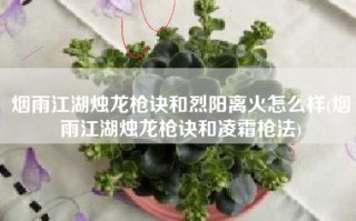 烟雨江湖烛龙枪诀和烈阳离火怎么样(烟雨江湖烛龙枪诀和凌霜枪法)