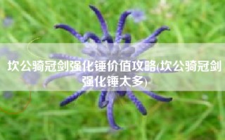坎公骑冠剑强化锤价值攻略(坎公骑冠剑强化锤太多)