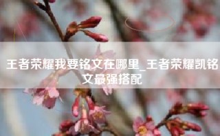 王者荣耀我要铭文在哪里_王者荣耀凯铭文最强搭配
