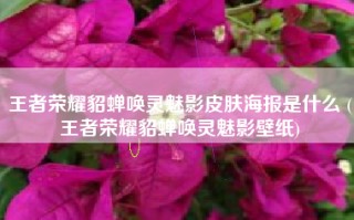 王者荣耀貂蝉唤灵魅影皮肤海报是什么 (王者荣耀貂蝉唤灵魅影壁纸)