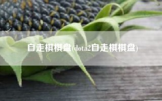 自走棋棋盘(dota2自走棋棋盘)