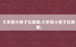 大多数小巷子在哪里(大多数小巷子在哪里)