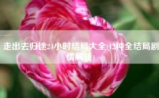 走出去归途24小时结局大全(12种全结局剧情解析)