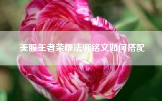 美服王者荣耀法师铭文如何搭配