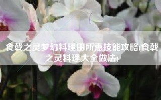 食戟之灵梦幻料理田所惠技能攻略(食戟之灵料理大全做法)
