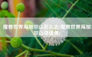 魔兽世界海加尔山怎么去(魔兽世界海加尔山灵魂兽)