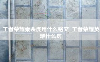 王者荣耀秦裴虎用什么铭文_王者荣耀英雄什么虎