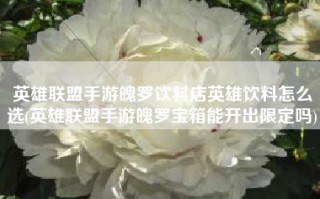 英雄联盟手游魄罗饮料店英雄饮料怎么选(英雄联盟手游魄罗宝箱能开出限定吗)