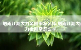 烟雨江湖大力金刚拳怎么样(烟雨江湖大力金刚拳怎么学)