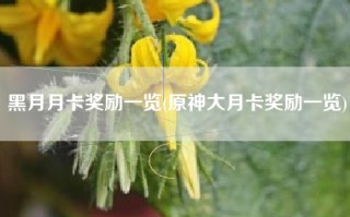 黑月月卡奖励一览(原神大月卡奖励一览)