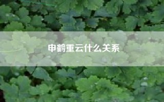 申鹤重云什么关系