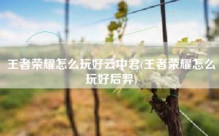 王者荣耀怎么玩好云中君(王者荣耀怎么玩好后羿)
