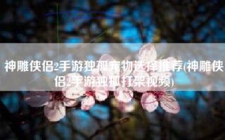 神雕侠侣2手游独孤宠物选择推荐(神雕侠侣2手游独孤打架视频)