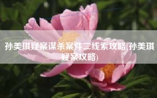 孙美琪疑案谋杀案件二线索攻略(孙美琪疑案攻略)