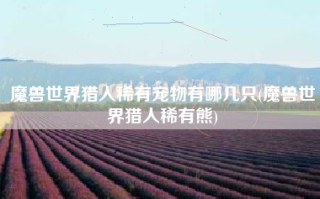 魔兽世界猎人稀有宠物有哪几只(魔兽世界猎人稀有熊)
