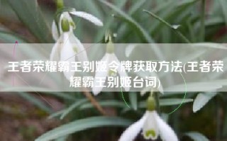 王者荣耀霸王别姬令牌获取方法(王者荣耀霸王别姬台词)