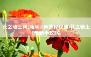 苍之骑士团2新手30连选择攻略(苍之骑士团2新手攻略)