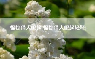 怪物猎人崛起(怪物猎人崛起轻弩)