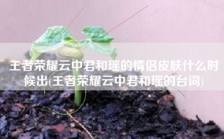 王者荣耀云中君和瑶的情侣皮肤什么时候出(王者荣耀云中君和瑶的台词)