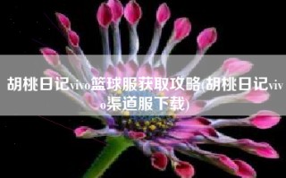 胡桃日记vivo篮球服获取攻略(胡桃日记vivo渠道服下载)