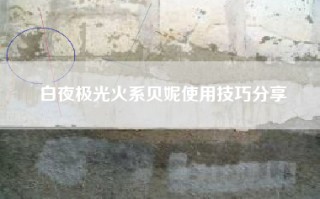 白夜极光火系贝妮使用技巧分享