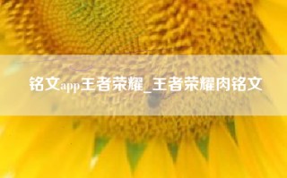 铭文app王者荣耀_王者荣耀肉铭文