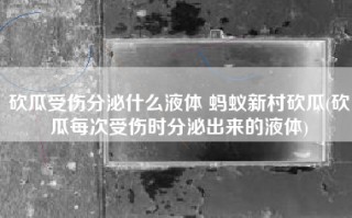 砍瓜受伤分泌什么液体 蚂蚁新村砍瓜(砍瓜每次受伤时分泌出来的液体)