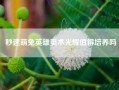 秒速萌兔英雄奥术光辉值得培养吗