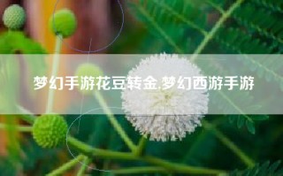 梦幻手游花豆转金,梦幻西游手游