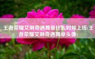 王者荣耀艾琳奇遇舞章什么时候上线(王者荣耀艾琳奇遇舞章头像)
