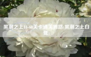 黑潮之上14-60关卡通关思路(黑潮之上白鹭)