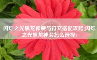 闪烁之光黑龙神装与符文搭配攻略(闪烁之光黑龙神装怎么选择)