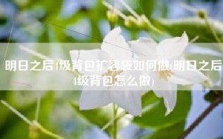 明日之后4级背包扩容袋如何做(明日之后4级背包怎么做)
