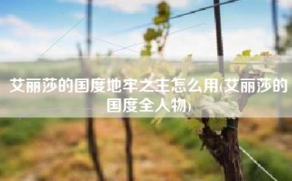 艾丽莎的国度地牢之主怎么用(艾丽莎的国度全人物)