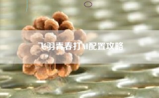 飞羽青春打AI配置攻略