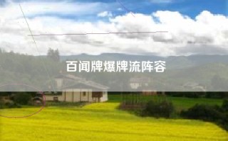 百闻牌爆牌流阵容