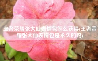 王者荣耀张大仙表情包怎么获得(王者荣耀张大仙表情包是永久的吗)