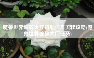 魔兽世界破碎大厅钥匙任务流程攻略(魔兽世界破碎大厅任务)