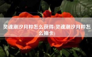 灵魂潮汐月粹怎么获得(灵魂潮汐月粹怎么抽卡)