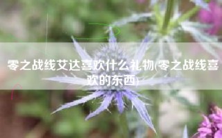 零之战线艾达喜欢什么礼物(零之战线喜欢的东西)