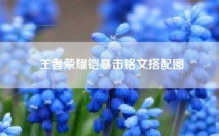 王者荣耀铠暴击铭文搭配图