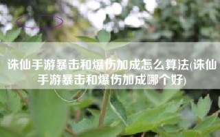 诛仙手游暴击和爆伤加成怎么算法(诛仙手游暴击和爆伤加成哪个好)
