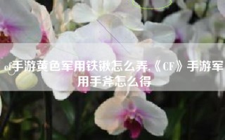 cf手游黄色军用铁锹怎么弄,《CF》手游军用手斧怎么得