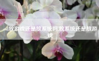ssd放游戏还是放系统吗,放系统还是放游戏
