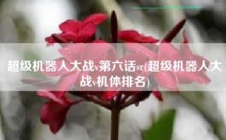 超级机器人大战v第六话sr(超级机器人大战v机体排名)