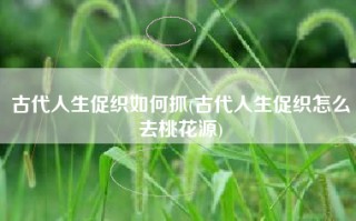 古代人生促织如何抓(古代人生促织怎么去桃花源)