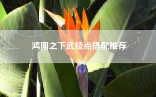 鸿图之下武技点搭配推荐