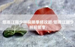 烟雨江湖少林极限拳修攻略(烟雨江湖少林极限拳)