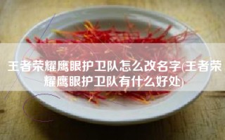 王者荣耀鹰眼护卫队怎么改名字(王者荣耀鹰眼护卫队有什么好处)