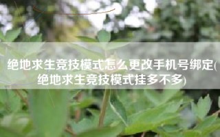绝地求生竞技模式怎么更改手机号绑定(绝地求生竞技模式挂多不多)